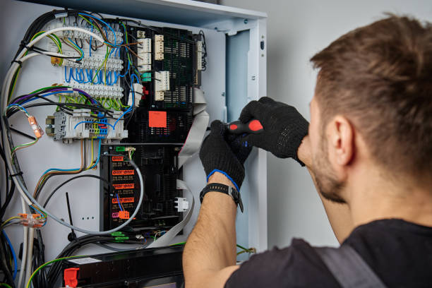 Licensed Electrical Panel Upgrade service in Cortland, IL - No Joke electrician